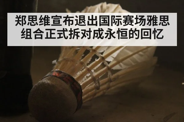 郑思维宣布退出国际赛场雅思组合正式拆对成永恒的回忆