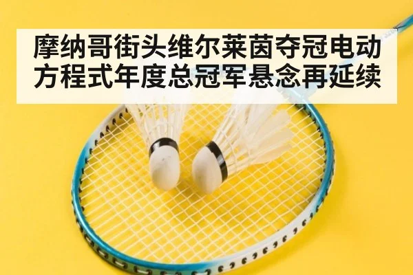 摩纳哥街头维尔莱茵夺冠电动方程式年度总冠军悬念再延续