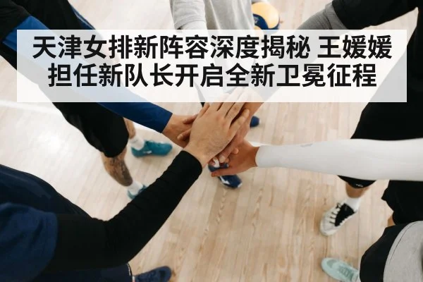 天津女排新阵容深度揭秘 王媛媛担任新队长开启全新卫冕征程