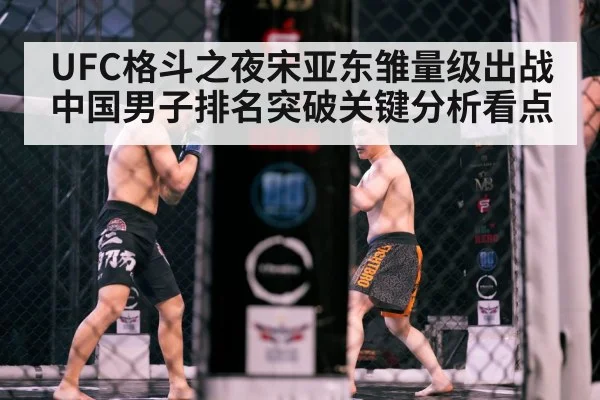 octagon fight arena